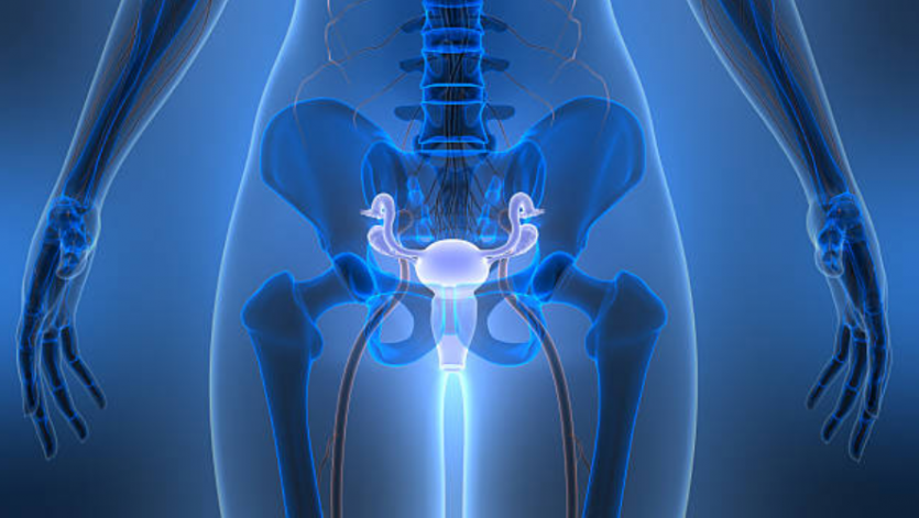 b454c2241550b1153d93bcc4d35e9390_1775798337_0267.png